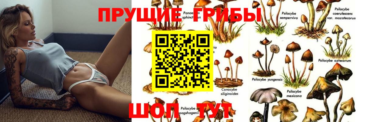 Псилоцибиновые грибы мухоморы  Вход с VPN  Конаково 