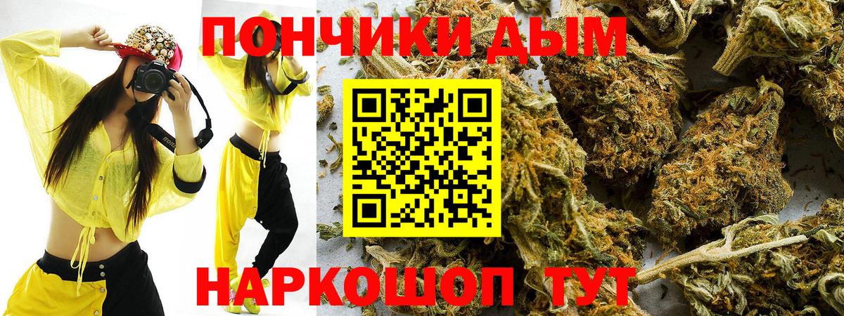 Каннабис планчик Конаково